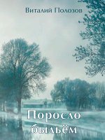 Поросло быльём некошеным...