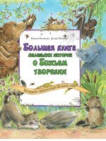 Большая книга маленьких историй о Божьем творении Большая книга маленьких историй о Божьем творении