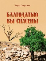 Благодатью вы спасены Благодатью вы спасены