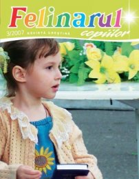 Felinarul 2007.3