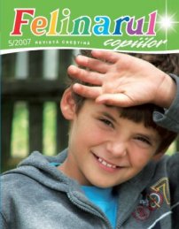 Felinarul 2007.5