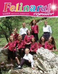 Felinarul 2008.5