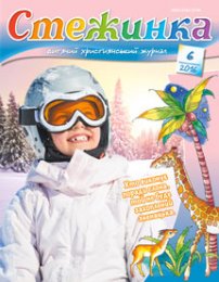 Стежинка 2016.6