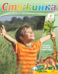 Стежинка 2017.5