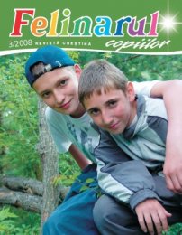 Felinarul 2008.3