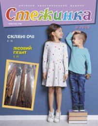 Стежинка 2020.3