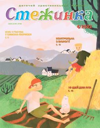 Стежинка 2022.4