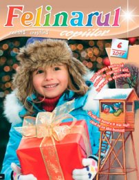 Felinarul 2017.6