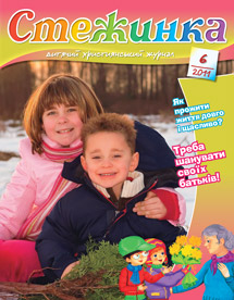 Стежинка 2011.6