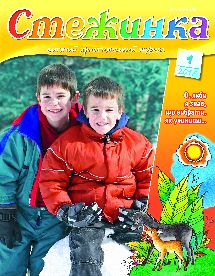 Стежинка 2017.1