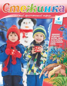 Стежинка 2017.6