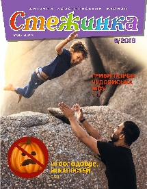 Стежинка 2019.5