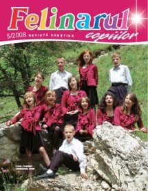 Felinarul 2008.5