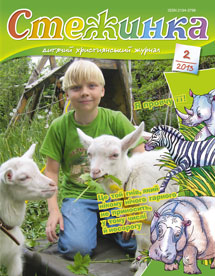 Стежинка 2013.2