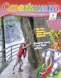 Стежинка 2013.3