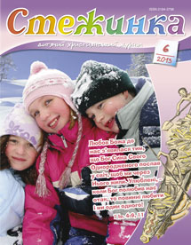 Стежинка 2013.6