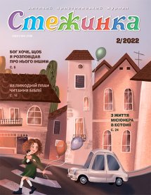 Стежинка 2022.2