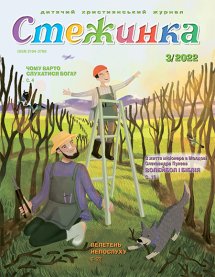 Стежинка 2022.3