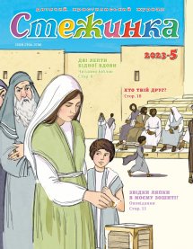 Стежинка 2023.5