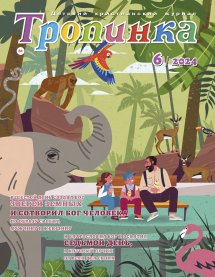 Тропинка 2024.6