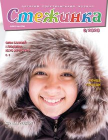 Стежинка 2020.6