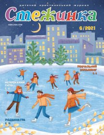 Стежинка 2021.6